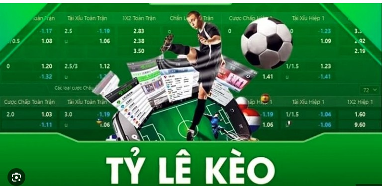 Nếu chưa biết cách đọc tỷ lệ kèo thì đừng nên xuống tiền..